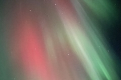 IMG_5512