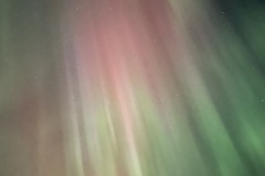 IMG_5515