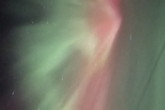 IMG_5516